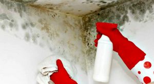 quitar moho de las paredes